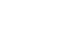 DVS Trademark Realty Logo