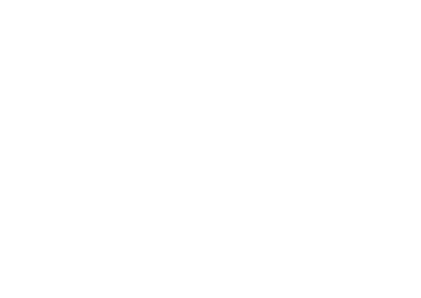 DVS Trademark Realty Logo